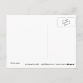 Textur: Seil III Postkarte (Rückseite)