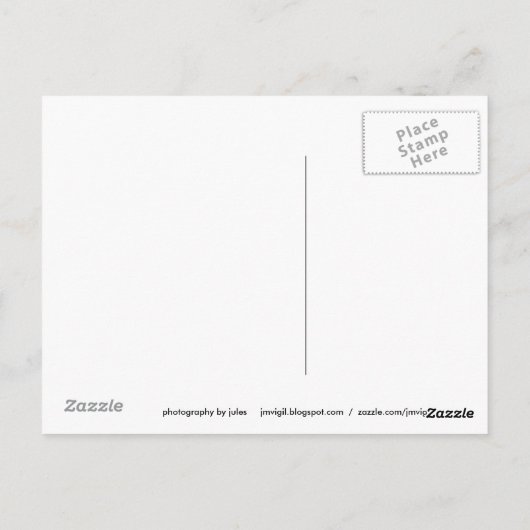 Textur: Seil III Postkarte (Rückseite)