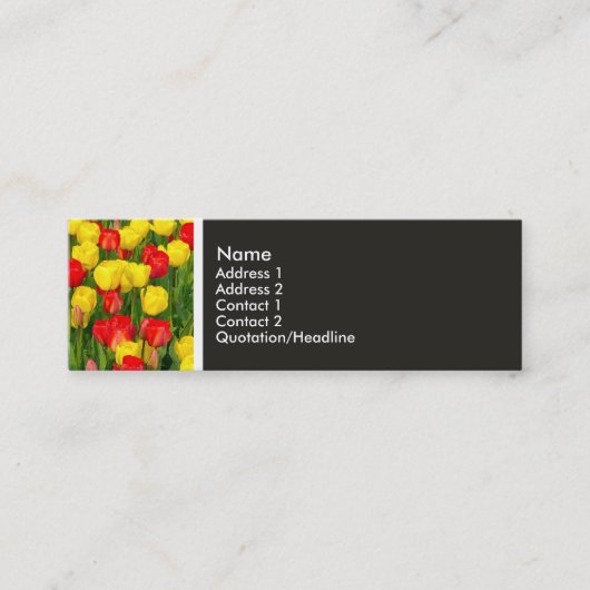 Textur Tone - farbenfrohe Tulpen Mini Visitenkarte (Vorderseite)
