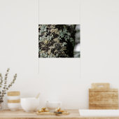 Textur und Muster der Flechten auf Baumstämmen Poster (Küche)