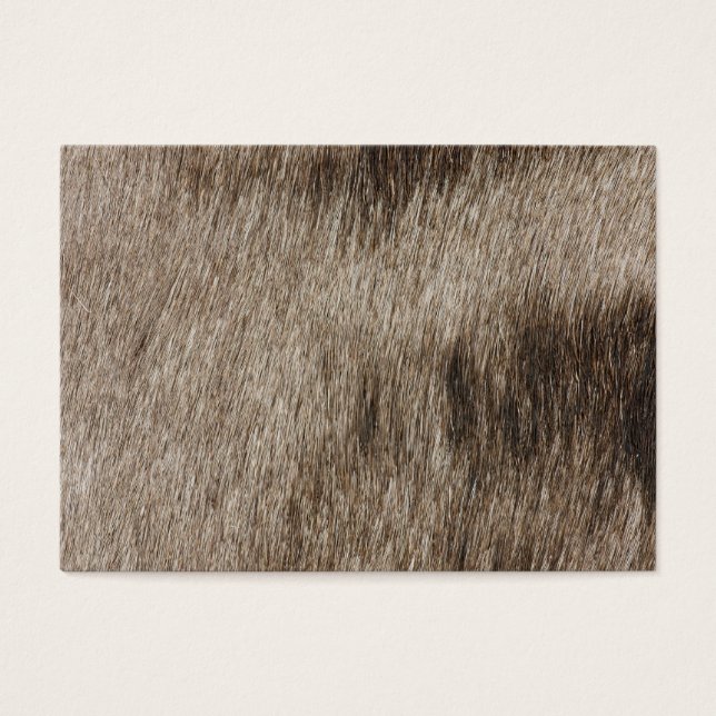 Textur von Tierfellen (Vorderseite)