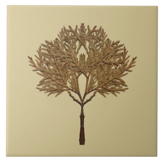 Textural Treasures of Winter on Ceramic Tile - D1 Fliese (Vorderseite)