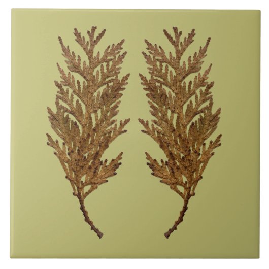 Textural Treasures of Winter on Ceramic Tile - D3 Fliese (Vorderseite)