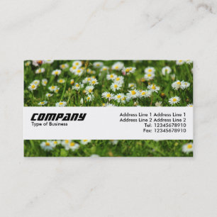 Texturband - Daisy Meadow Visitenkarte
