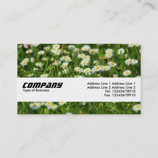 Texturband - Daisy Meadow Visitenkarte (Vorderseite)