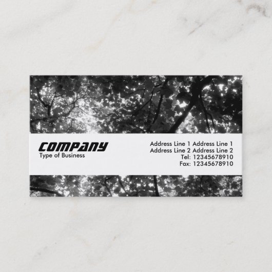 Texturband - In den Bäumen II Visitenkarte (Vorderseite)