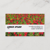 Texturband - Tulips II Visitenkarte (Rückseite)