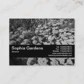 Texturband V2 - Beiblatt "Herbstfreude" Visitenkarte (Rückseite)