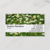 Texturband V2 - Daisy Meadow Visitenkarte (Rückseite)