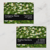 Texturband V2 - Daisy Meadow Visitenkarte (Vorne/Hinten)