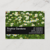 Texturband V2 - Daisy Meadow Visitenkarte (Rückseite)