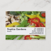 Texturband V2 - Gemüse aus Stier-Fry 02 Visitenkarte (Rückseite)