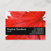 Texturband V2 - Japanischer Blattahorn Visitenkarte (Rückseite)