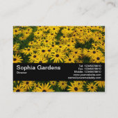 Texturband V2 - Schwarz-mit Augen Susans (Rudbecki Visitenkarte (Rückseite)