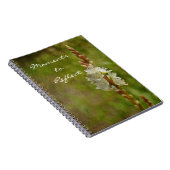 Texturblatt Notizblock (Rechte Seite)