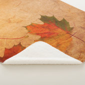 Texture background maple sherpadecke (3/4)