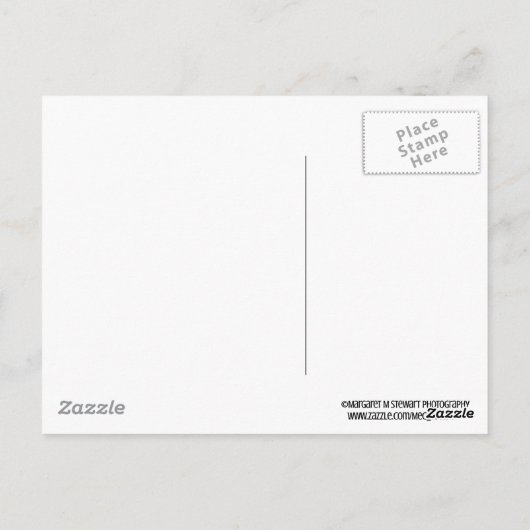 Textured Chrysanthemum Happy Birthday Postkarte (Rückseite)