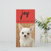Textured Red Pet Chalkboard Fotocard Feiertagskarte (Stehend Vorderseite)