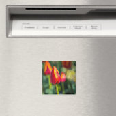 Textured Tulip Garden Magnet (In Situ (Geschirrspüler))