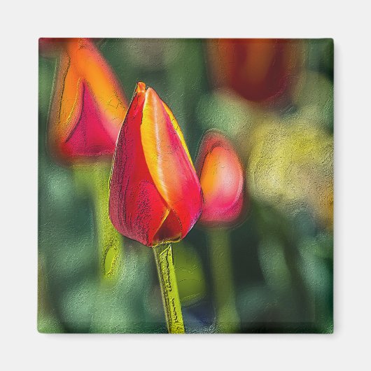 Textured Tulip Garden Magnet (Vorne)