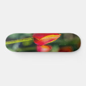 Textured Tulip Garden Skateboard (Horizontal)