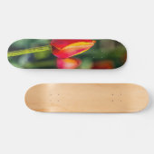 Textured Tulip Garden Skateboard (Horizontal)