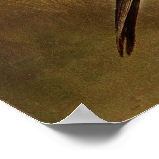 Textured Yell0w-head Blackbird Gerahmt Print Poster (Ecke)