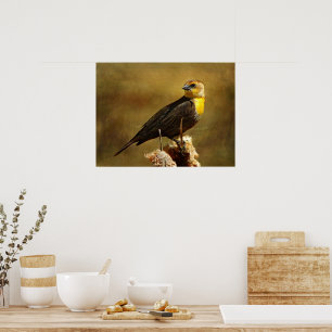 Textured Yell0w-head Blackbird Gerahmt Print Poster
