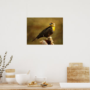 Textured Yell0w-head Blackbird Gerahmt Print Poster
