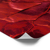 Texturiert , Risse, Abstriche in tiefrot Poster (Ecke)