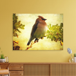 Texturierte Cedar Waxwing Stretch Canvas Print Leinwanddruck