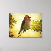 Texturierte Cedar Waxwing Stretch Canvas Print Leinwanddruck (Vorderseite)