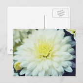 Texturierte Chrysanthemum Postkarte (Vorne/Hinten)