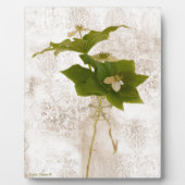 Texturierte Dogwood Bunch Berry Fotoplatte (Vorderseite)