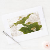 Texturierte Dogwood Bunch Berry Rechteckiger Aufkleber (Umschlag)