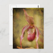 Texturierte Lady Slipper Orchid Postkarte (Vorne/Hinten)