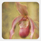 Texturierte Lady Slipper Orchid Quadratischer Aufkleber (Vorderseite)