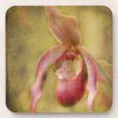 Texturierte Lady Slipper Orchid Untersetzer (Vorderseite)