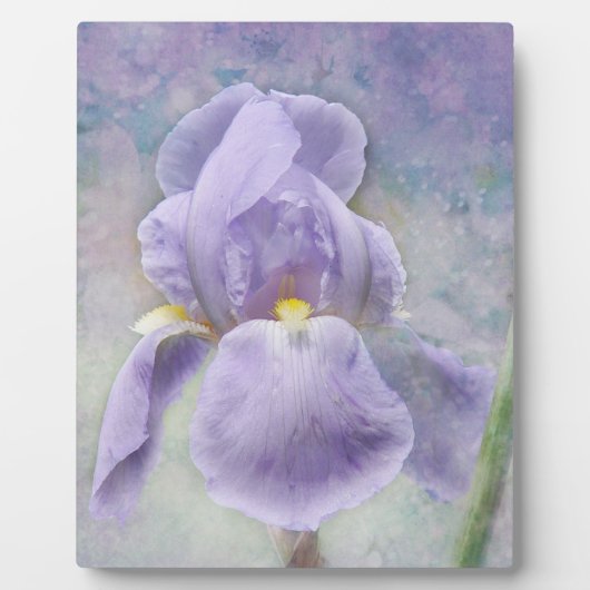 Texturierte Lila Iris Plaque Fotoplatte (Vorderseite)