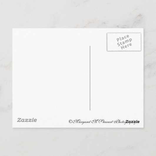 Texturierte Pfirsiche Postkarte (Rückseite)