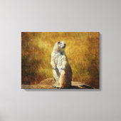 Texturierte Prärie Dog Canvas Print Leinwanddruck (Vorderseite)