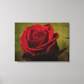 Texturierte Rote Rose - Leinwand (Vorderseite)