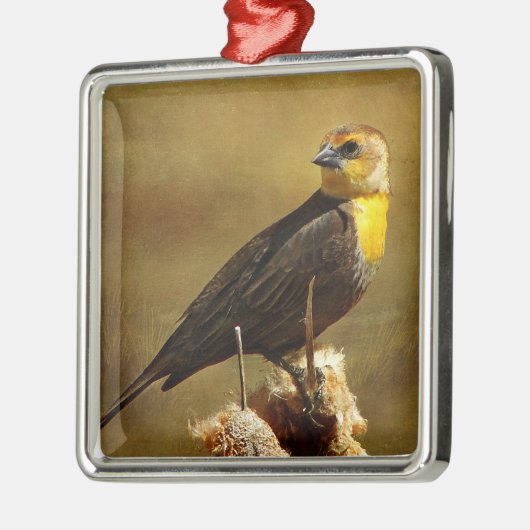 Texturierte Songbird-Ornamente Silbernes Ornament (Links)