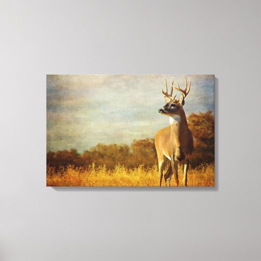 Texturierte Whitetail Stretched Canvas Print Leinwanddruck (Vorderseite)