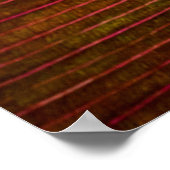 Texturleverlandmakro Poster (Ecke)