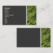 Texturstein (Bäume II) Visitenkarte (Vorne/Hinten)