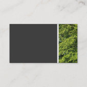 Texturstein (Bäume II) Visitenkarte (Rückseite)