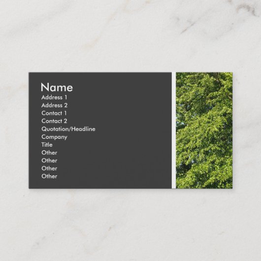 Texturstein (Bäume II) Visitenkarte (Vorderseite)