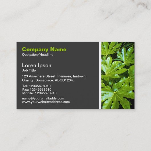 Texturstein - Blätter Visitenkarte (Vorderseite)