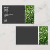 Texturstein (Daisy Lawn II) Visitenkarte (Vorne/Hinten)